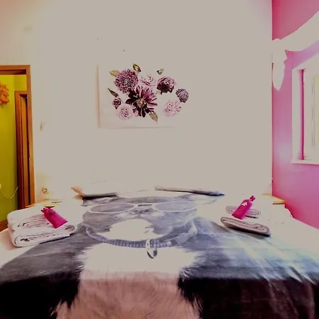 Apartman Patrikana Palit