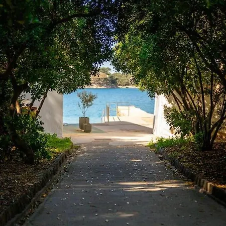 Apartman Apartman Patrikana Palit